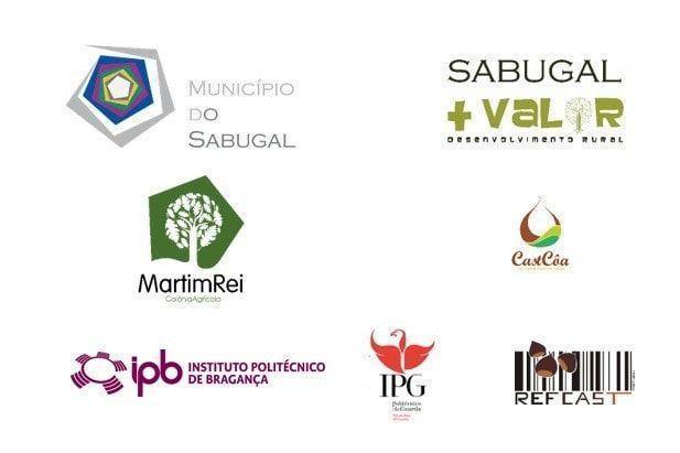 Categoria 2  Instituto Logos